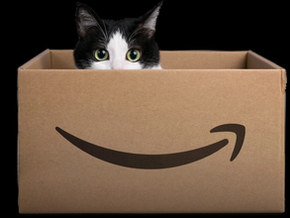 Are You The Cat In The Box?