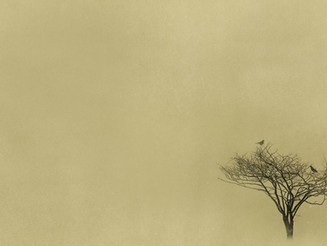 The sound of silence?
