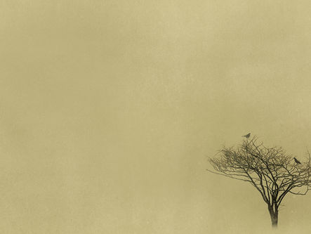 Review of The Moors at The Hope Theatre - Brilliant, terrifying, unforgettable
