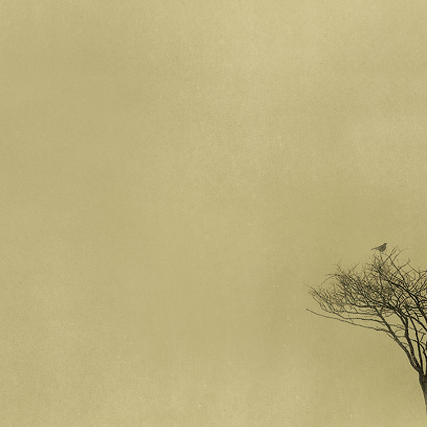 The Embodied Season -- Winter Workshop