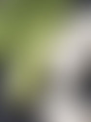 Natural Products to NO Products...