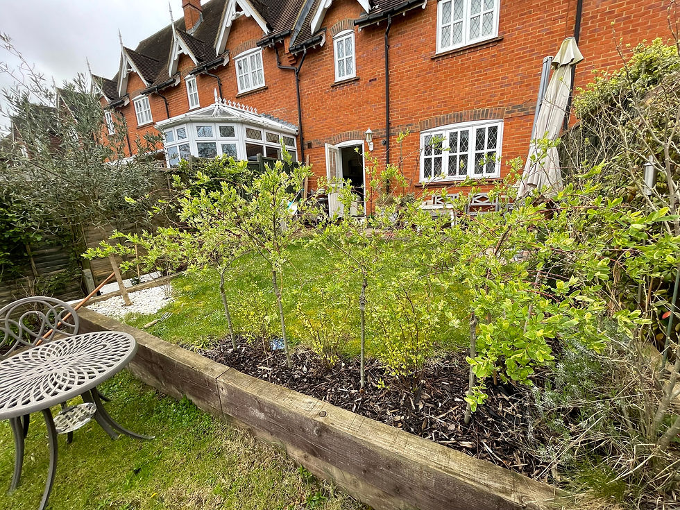 Ugly conservatory over looking terrace - 2024