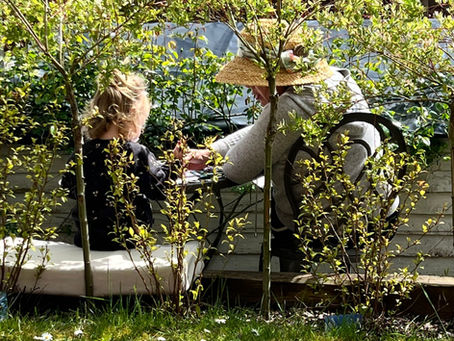 "Integrating Art and Nature: My first En Plein Air Flower Drawing in my Art and Gardening Journey"