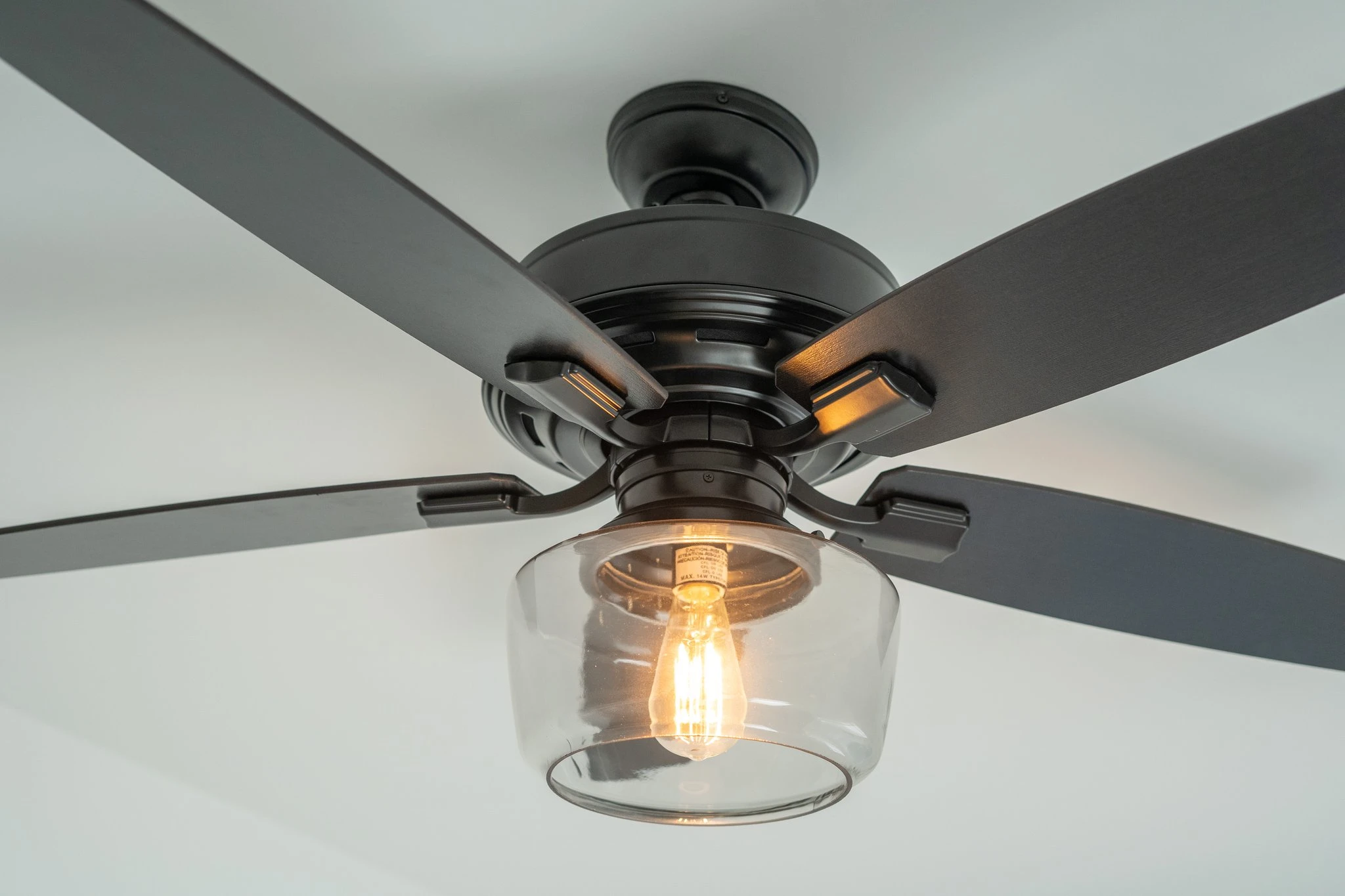 modern ceiling fan with clear glass light fixture and edison bulb