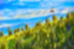 Unknown-1.jpeg