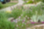 Beth_Lewis_Front_DSC2170.JPG