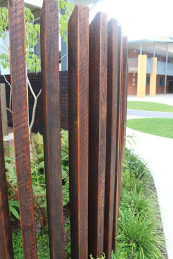 20200119160813_IMG_4298