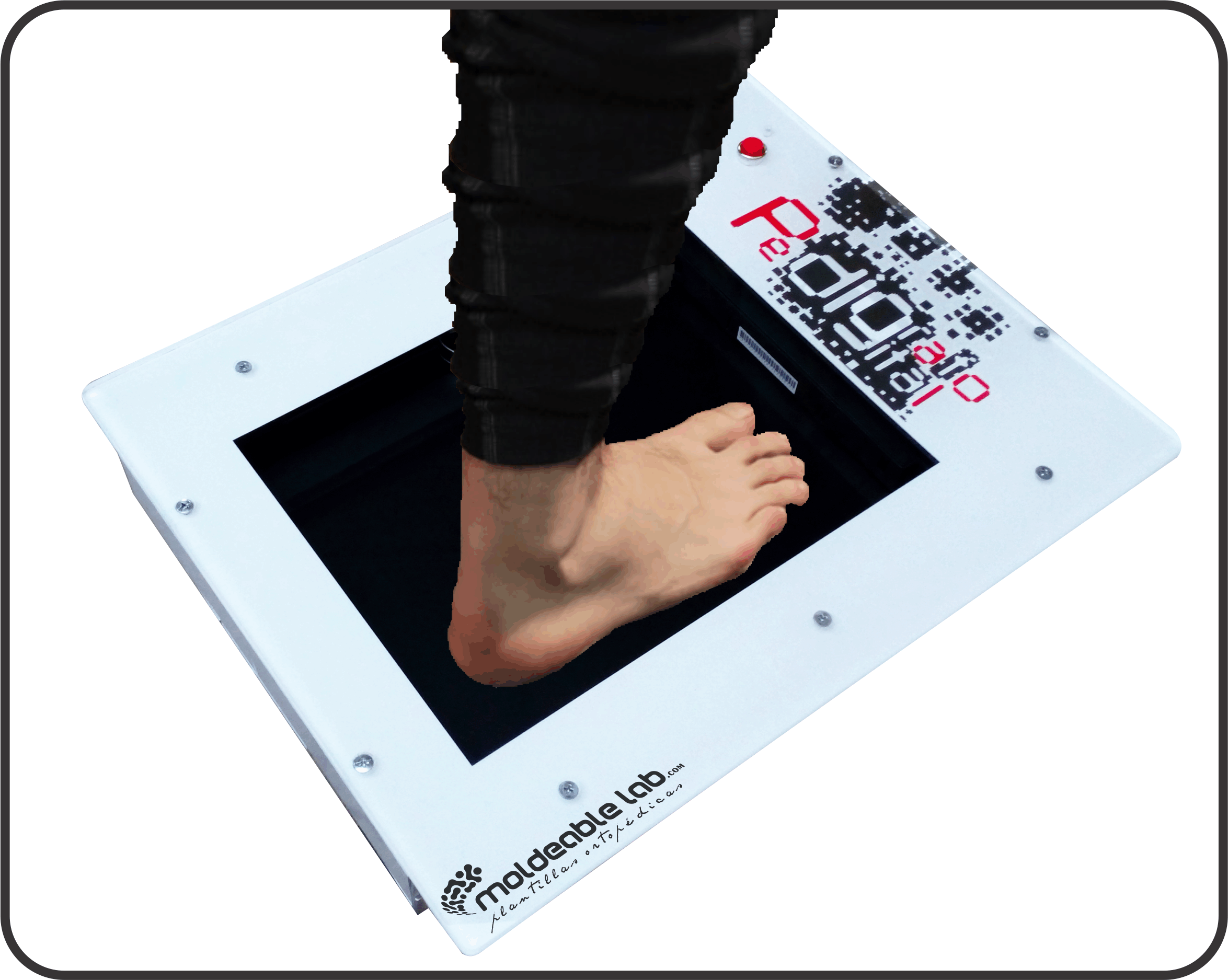 PedgrafoDigital1.gif
