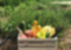Local Farm Box - Pickup Saturday 8/18 OR Sunday 8/19