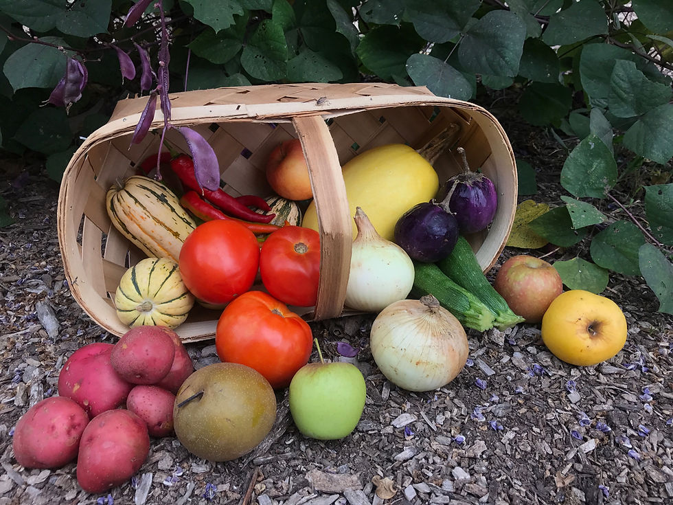 Local Farm Box (Flexible) - Saturday OR Sunday