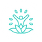 wellness (1).png