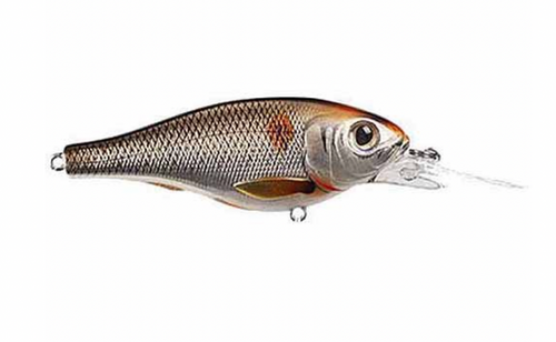 Leurre à Perchaude Koppers LIVETARGET | Canadian Tire - Foto 13