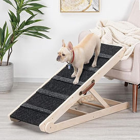 French bull dog walking down a ramp from furniture