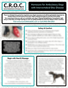 Example of IVDD handout