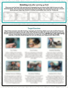 Example of IVDD handout