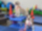 A golden retriever and american pit bull terrier pose on target exercise equipment