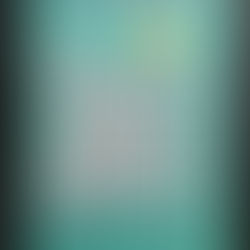 Mind Spark #23 - Visibility Starts in the Meeting Room