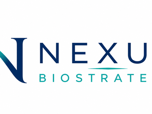 Why I Started Nexus BioStrategy