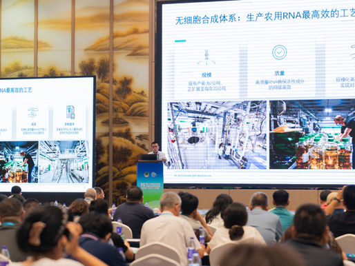 Before the Conference Begins