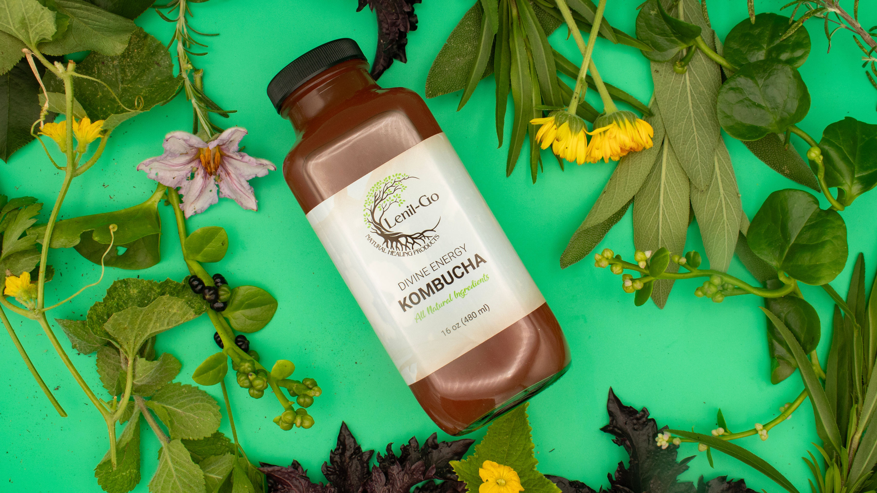 Divine Energy Kombucha