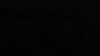 bg.png