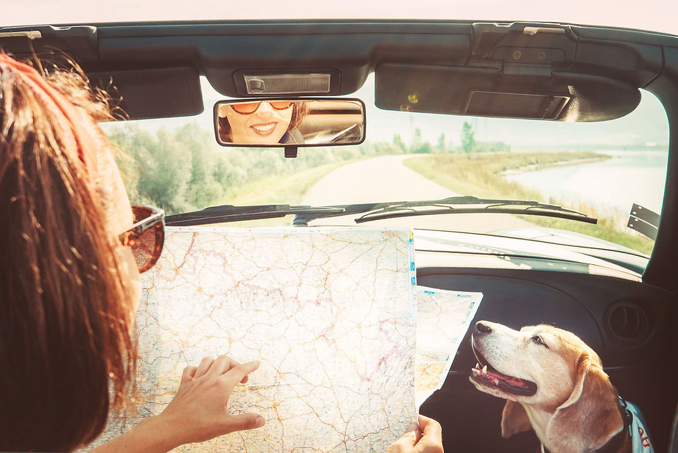 Woman parked in car on side of road. Viewing a map next to her companion dog in passenger seat