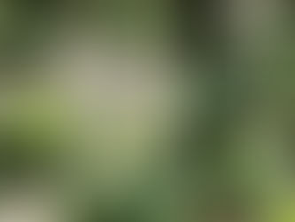 You Are Not Your Anxiety