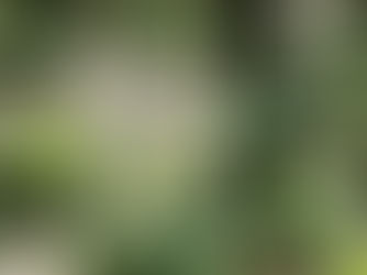 You Are Not Your Anxiety