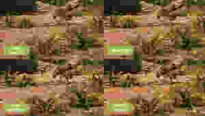 Target Resolution: 1080p