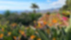Botanical Garden - Funchal’s lush oasis of vibrant diversity