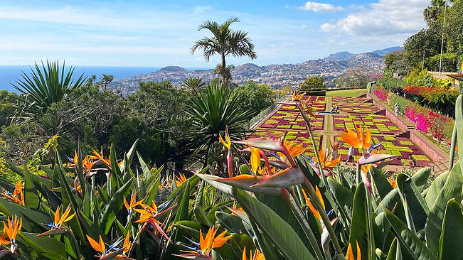KR_Madeira_Botanischer Garten_M.jpg
