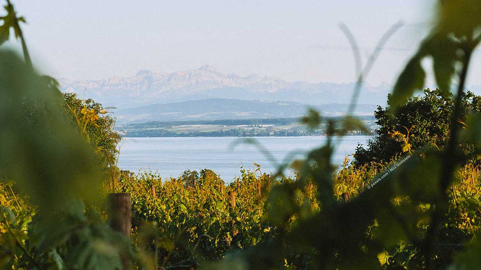 Genussvolle Ausblicke rund um den Bodensee