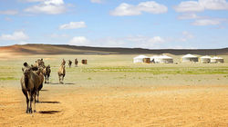 Traditional yurt camps become your home beneath Mongolia's endless skies
