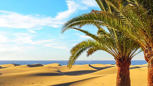Gran Canaria_Sanddünen von Maspalomas_M.jpg