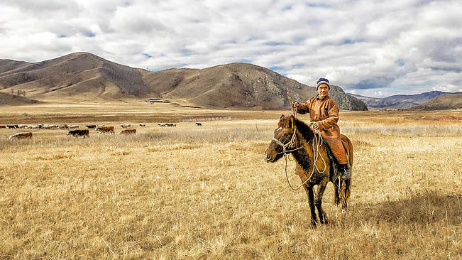 KR_Mongolei_Hirte_M.jpg