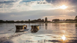 Die Loire in ihrer schönsten Form