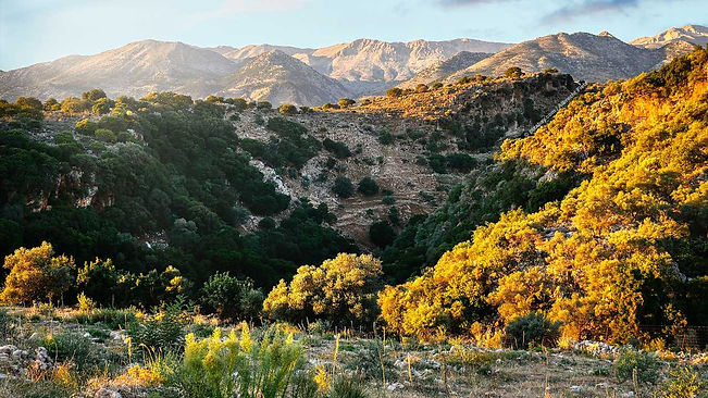 Tag 4_Kreta_Berge_M.jpg