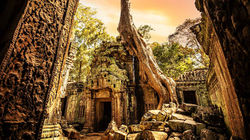 Ta Prohm - nature reclaiming the ruins