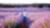 Schwuler Radurlaub Provence | Individuell von Ort zu Ort