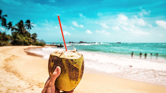 KR_Sri_Lanka_Kokosnuss_Strand_M.jpg