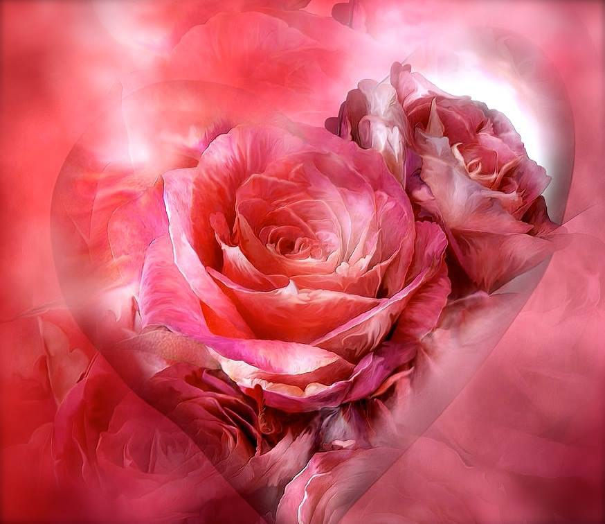 奈良女神神殿12月の催案内