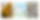 TGWSTF banner.png