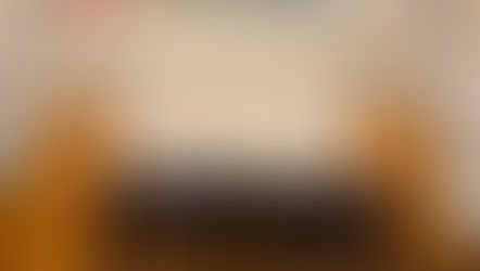 2月例会「岐阜会議」に参加しました！