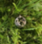 Pendentif motif végétal