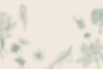 violette_design_2026_3.jpg