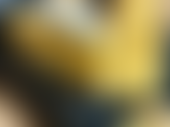 行者のお氣に入りキャロットケーキ✨