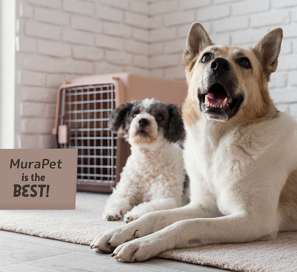 mura pet version is the best banner for slideshow 
