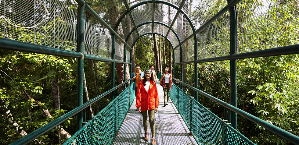 The Awana Trail serves as your personal gateway into this Eden - resorts world awana