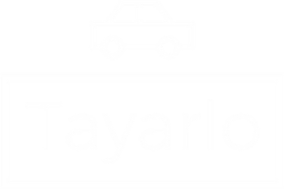 tayarlo logo.png