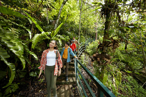 Nature Adventures and Team Exploration at awana trail from resorts world awana